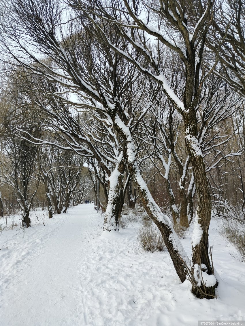 СнЯгурочку вызывали? Продолжение