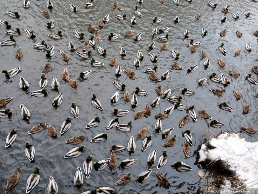 СнЯгурочку вызывали? Продолжение