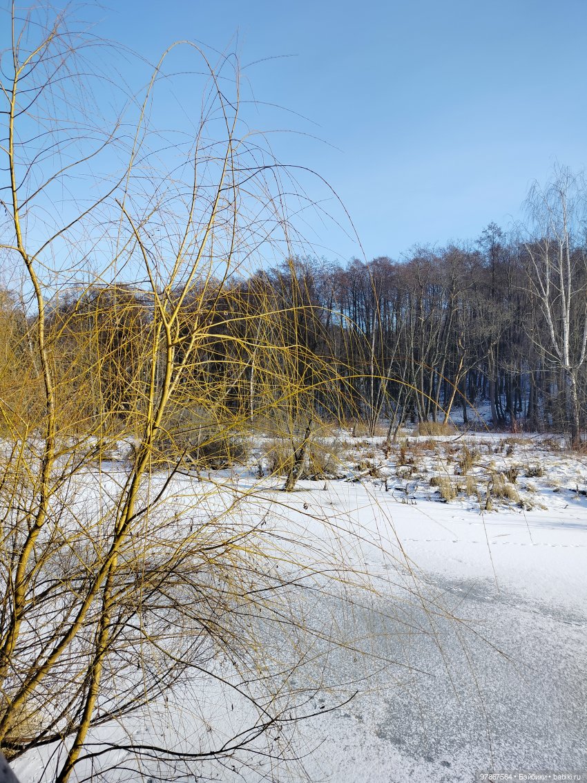 В гости к бобрам — Куклы Zwergnase (Цвергназе/Цверги): фото (фото 7)