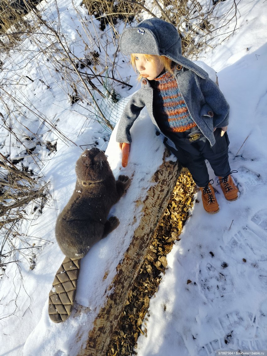 В гости к бобрам — Куклы Zwergnase (Цвергназе/Цверги): фото
