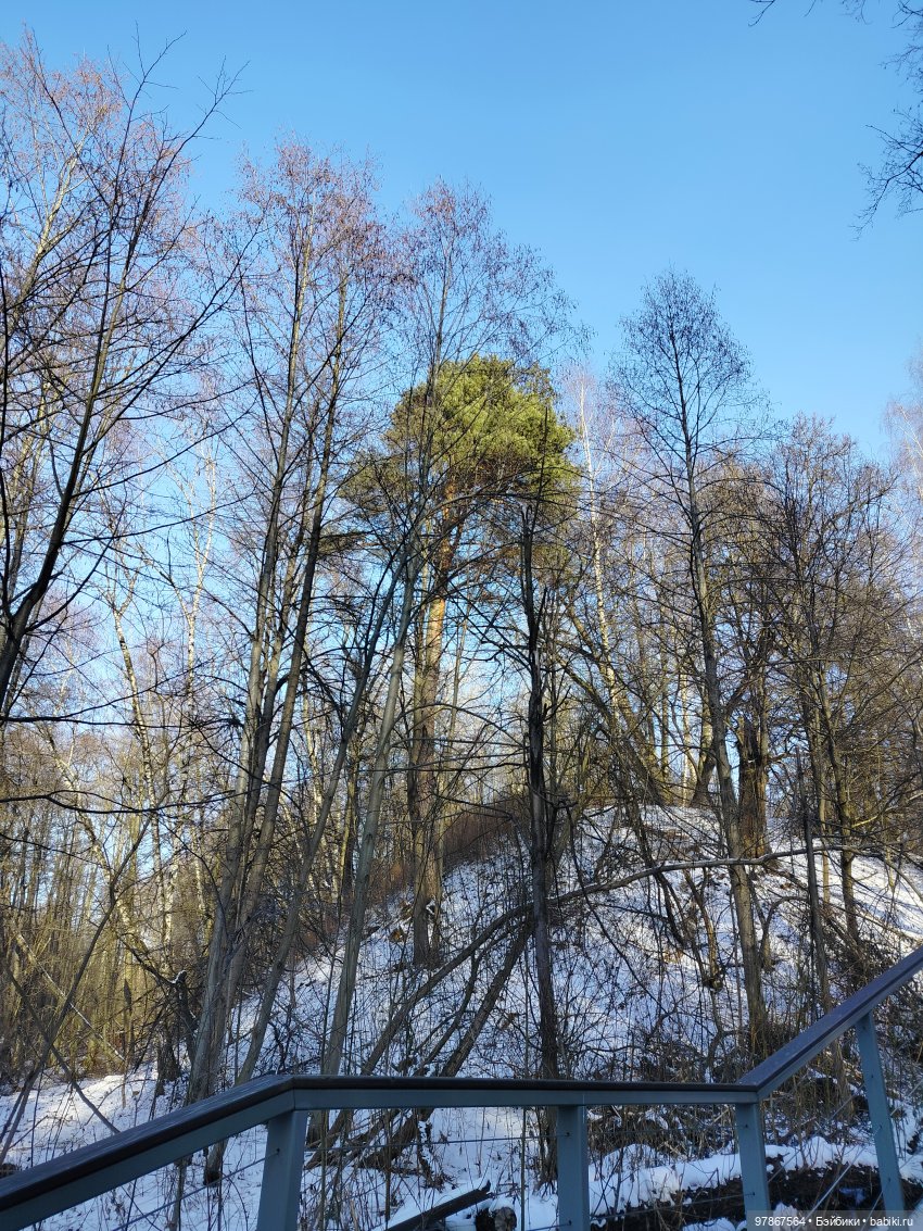 В гости к бобрам — Куклы Zwergnase (Цвергназе/Цверги): фото (фото 8)