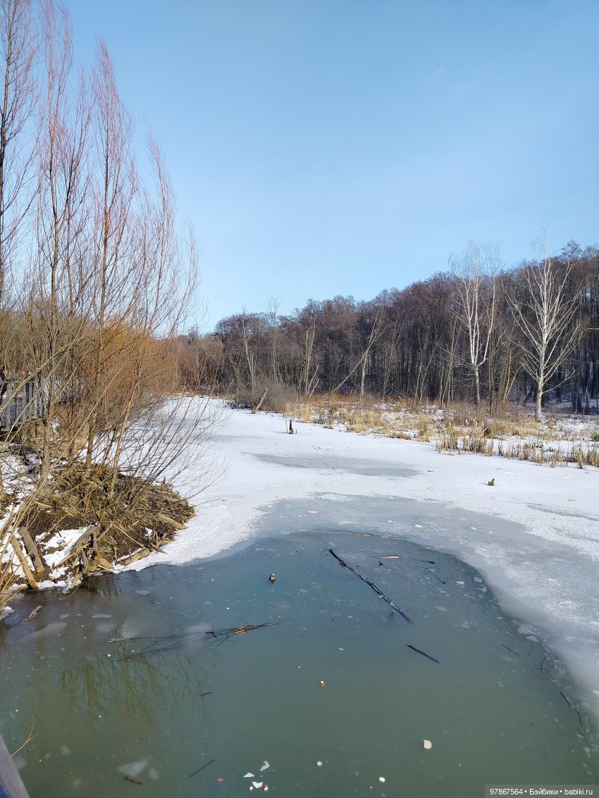 В гости к бобрам — Куклы Zwergnase (Цвергназе/Цверги): фото