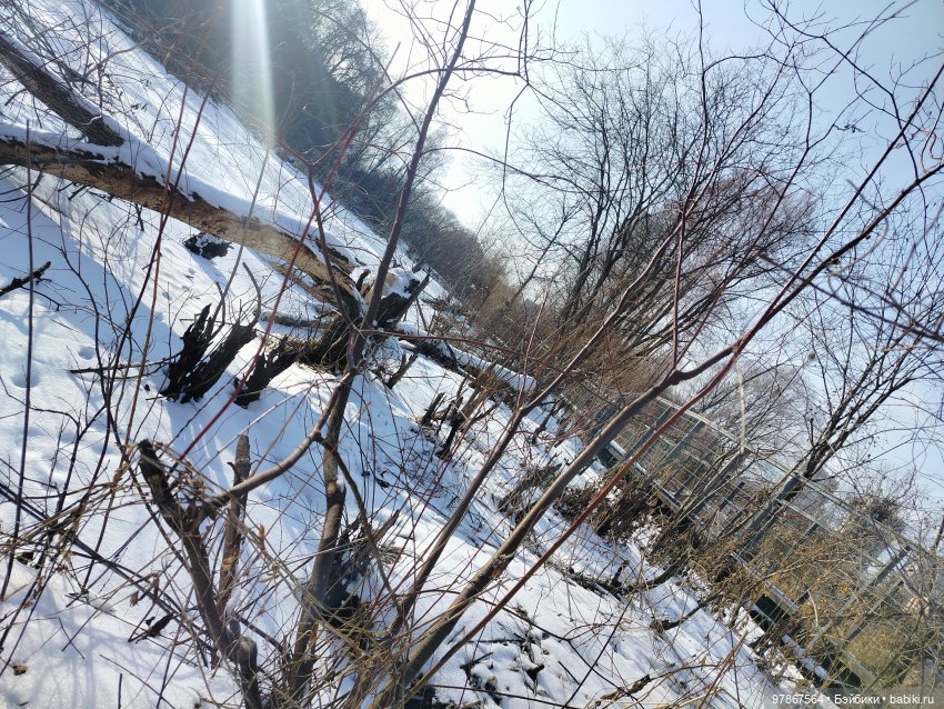 В гости к бобрам — Куклы Zwergnase (Цвергназе/Цверги): фото (фото 9)