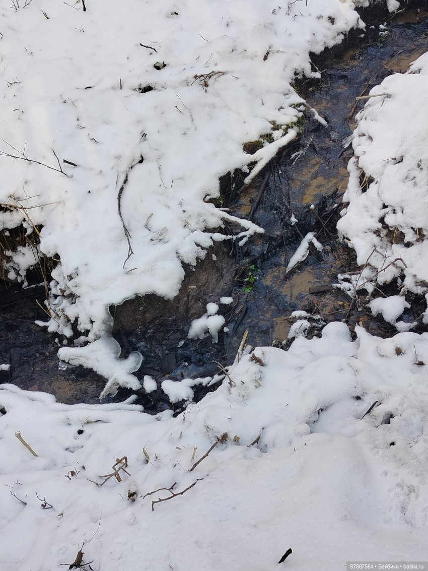 В гости к бобрам — Куклы Zwergnase (Цвергназе/Цверги): фото