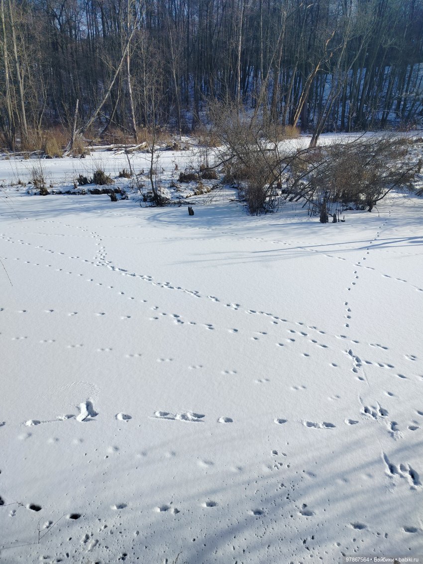 В гости к бобрам — Куклы Zwergnase (Цвергназе/Цверги): фото (фото 10)
