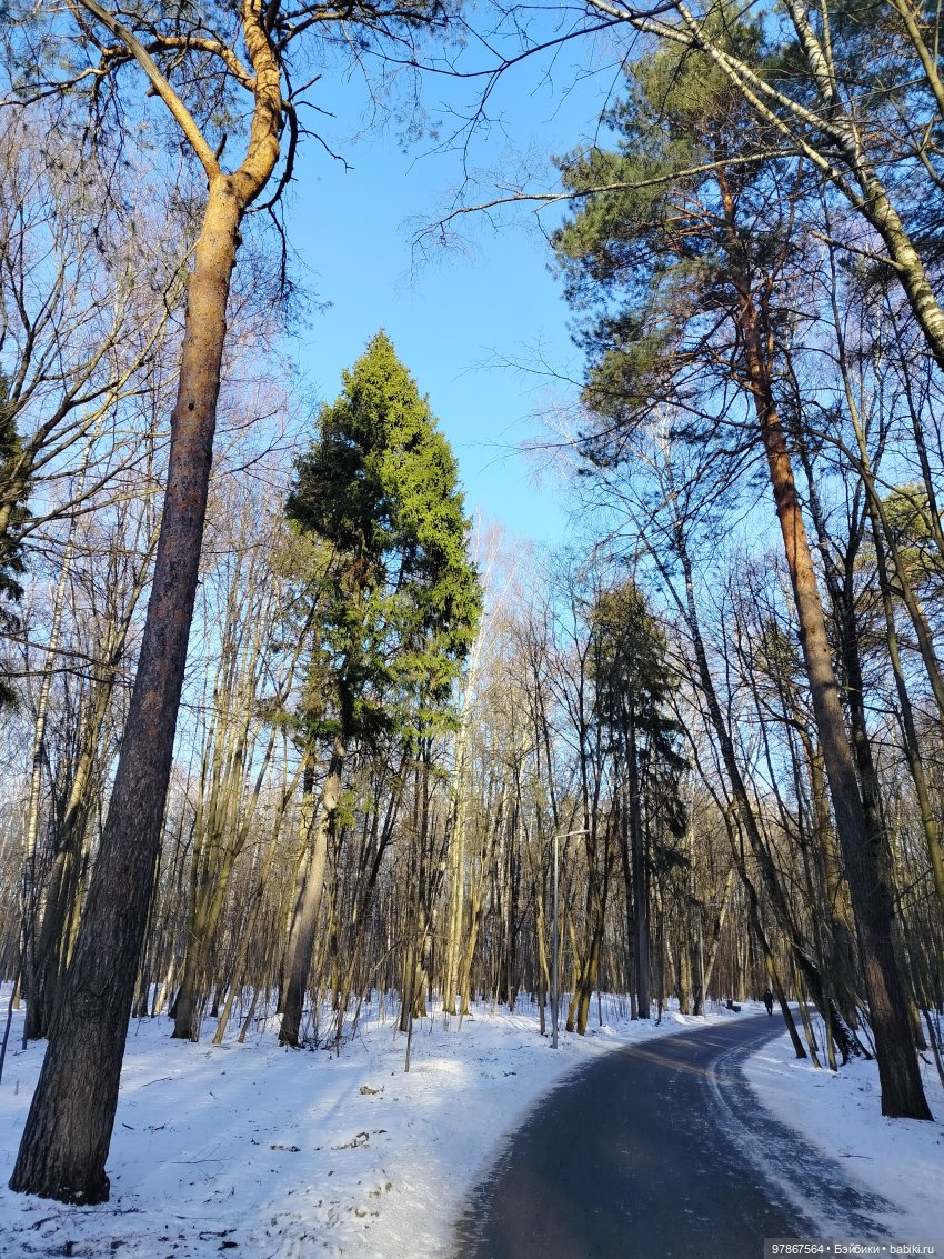 В гости к бобрам — Куклы Zwergnase (Цвергназе/Цверги): фото