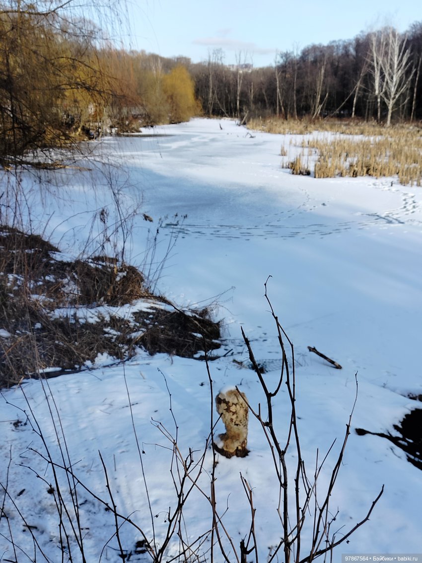 В гости к бобрам — Куклы Zwergnase (Цвергназе/Цверги): фото