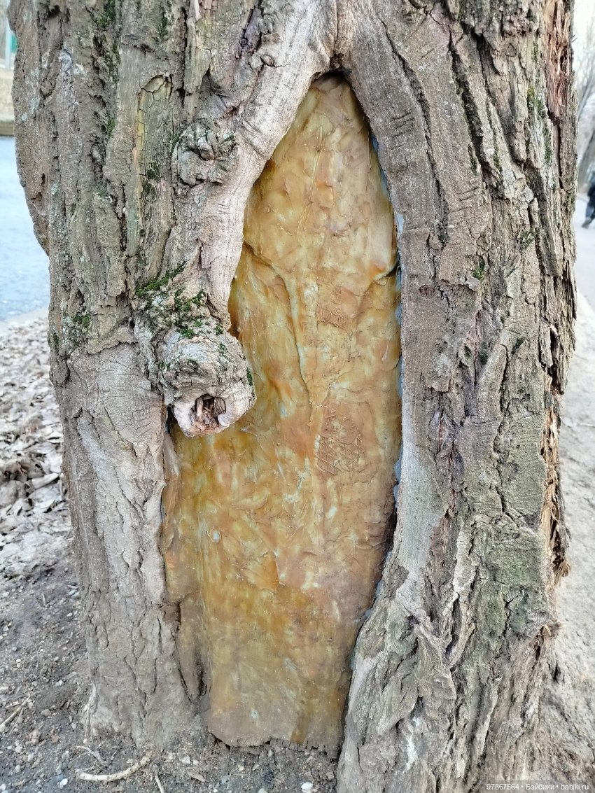 Малу-художница или ПаркАрт (фото 4)