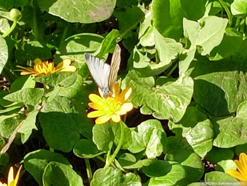 Малу-художница или ПаркАрт