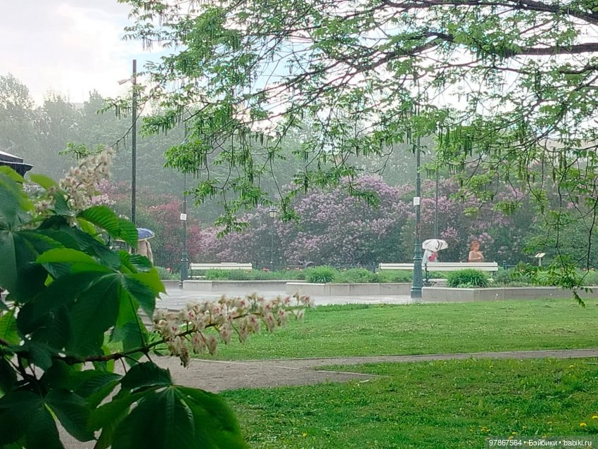 Сиреневый сад — Куклы Zwergnase (Цвергназе/Цверги): фото