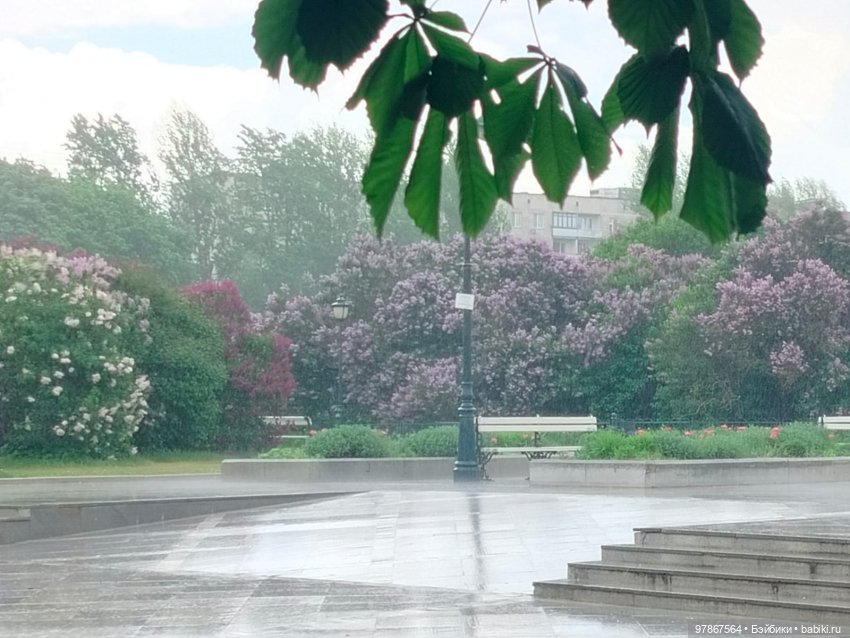 Сиреневый сад — Куклы Zwergnase (Цвергназе/Цверги): фото