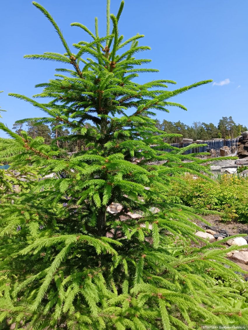При чем тут Малевич — Куклы Zwergnase (Цвергназе/Цверги): фото