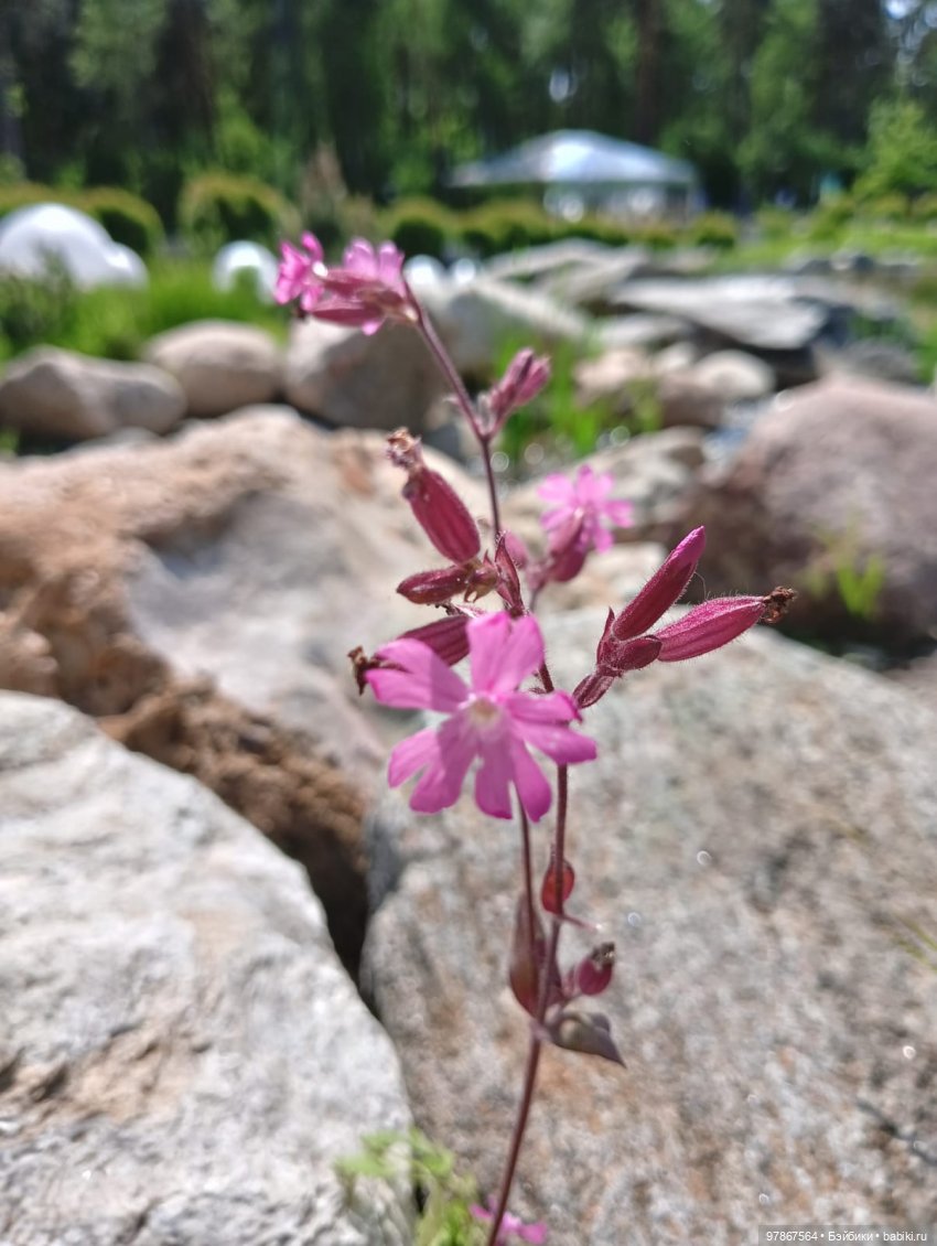 При чем тут Малевич — Куклы Zwergnase (Цвергназе/Цверги): фото