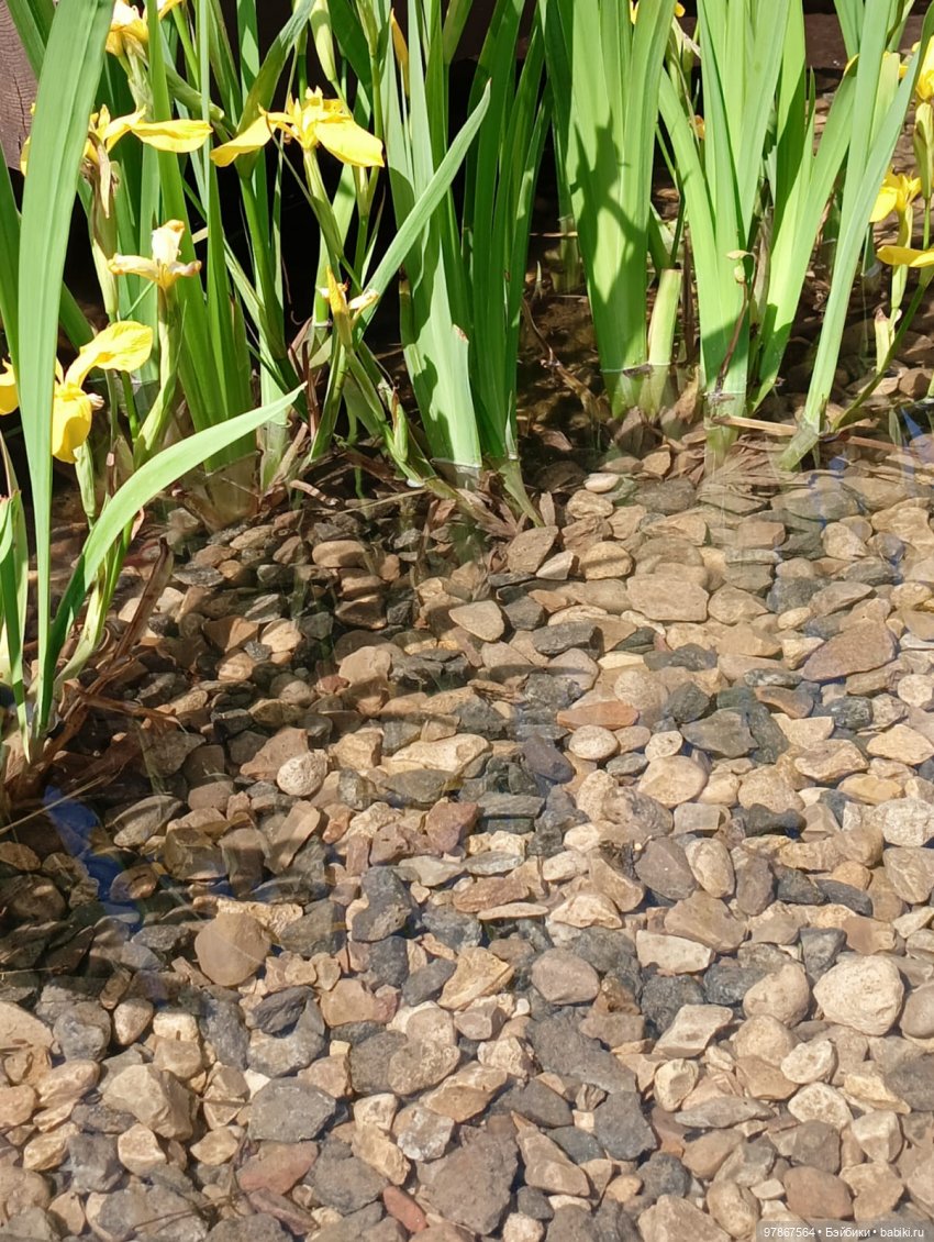 При чем тут Малевич — Куклы Zwergnase (Цвергназе/Цверги): фото