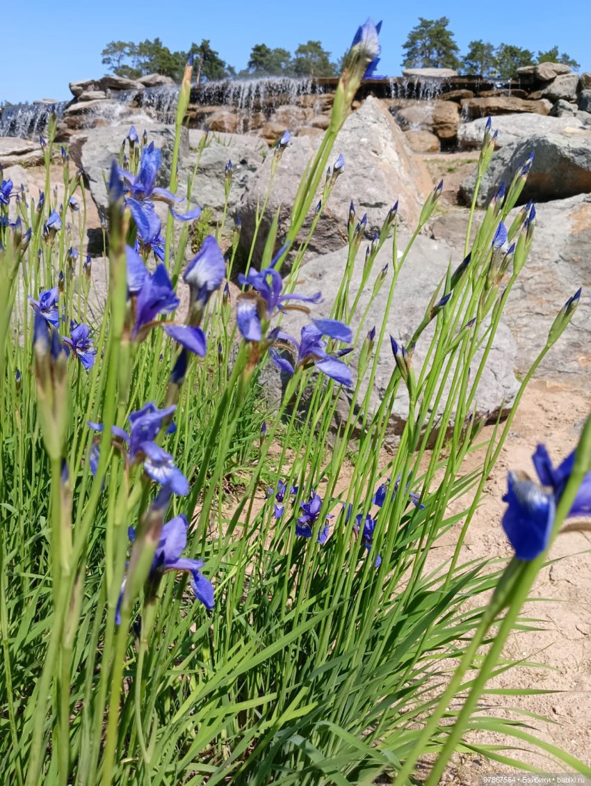 При чем тут Малевич — Куклы Zwergnase (Цвергназе/Цверги): фото