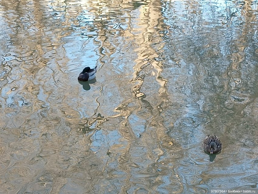 В гости к уткам! Часть 1 — Куклы Zwergnase (Цвергназе/Цверги): фото