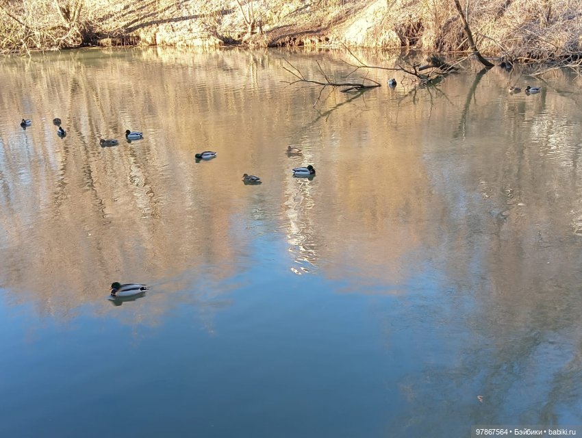 В гости к уткам! Часть 1 — Куклы Zwergnase (Цвергназе/Цверги): фото