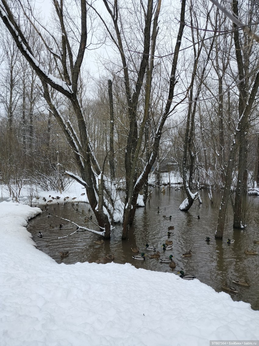 В гости к уткам! Часть 1 — Куклы Zwergnase (Цвергназе/Цверги): фото