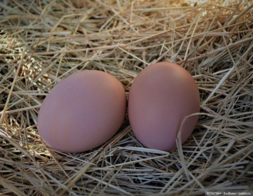 Разноцветное чудо — Куклы Zwergnase (Цвергназе/Цверги): фото