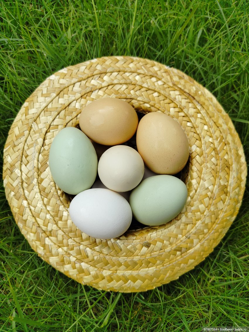 Разноцветное чудо — Куклы Zwergnase (Цвергназе/Цверги): фото (фото 5)