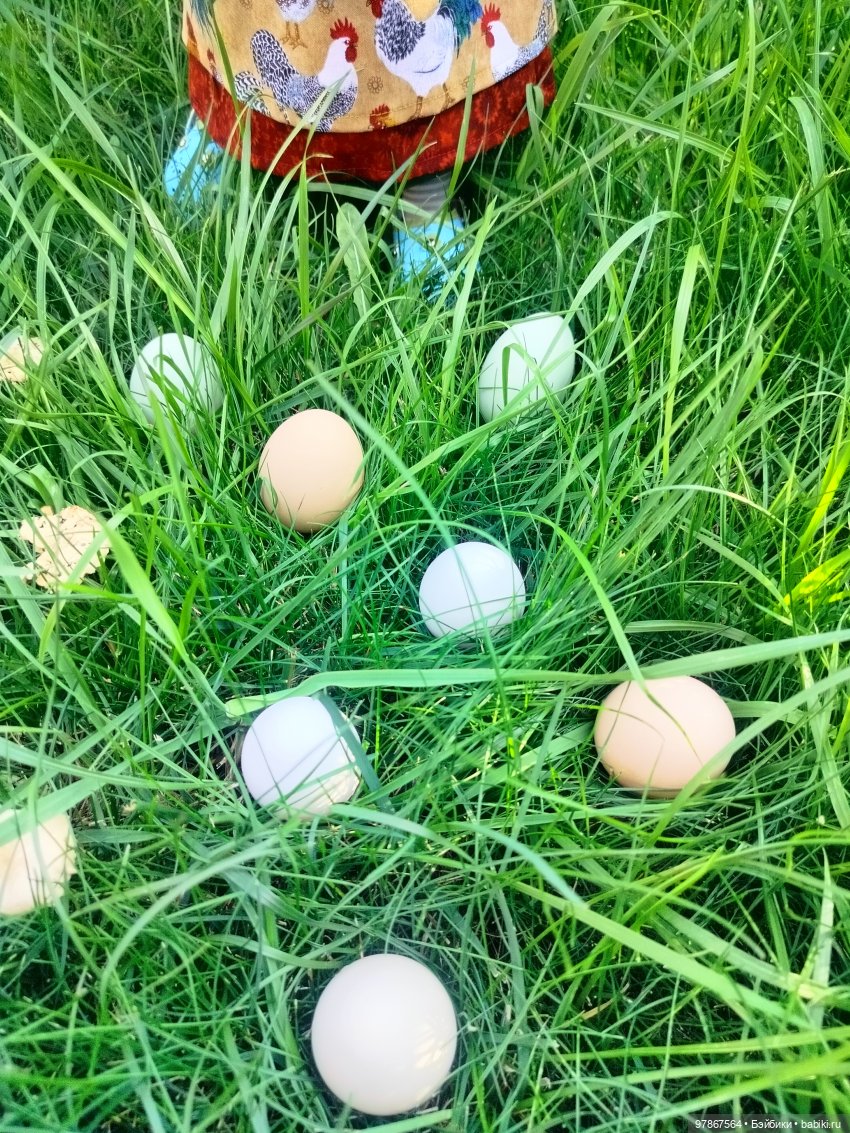 Разноцветное чудо — Куклы Zwergnase (Цвергназе/Цверги): фото (фото 3)