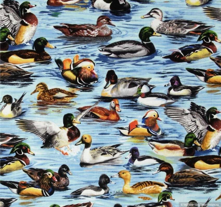 В гости к уткам! Часть 2 — Куклы Zwergnase (Цвергназе/Цверги): фото