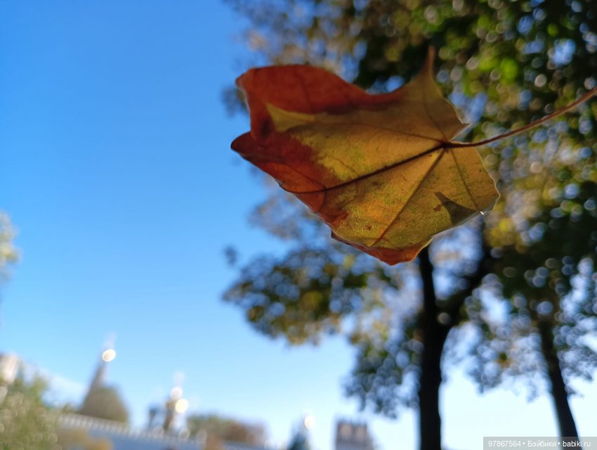 В гости к уткам! Часть 2 — Куклы Zwergnase (Цвергназе/Цверги): фото