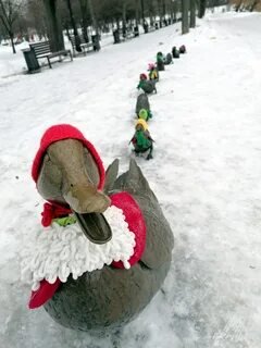 В гости к уткам! Часть 2 — Куклы Zwergnase (Цвергназе/Цверги): фото