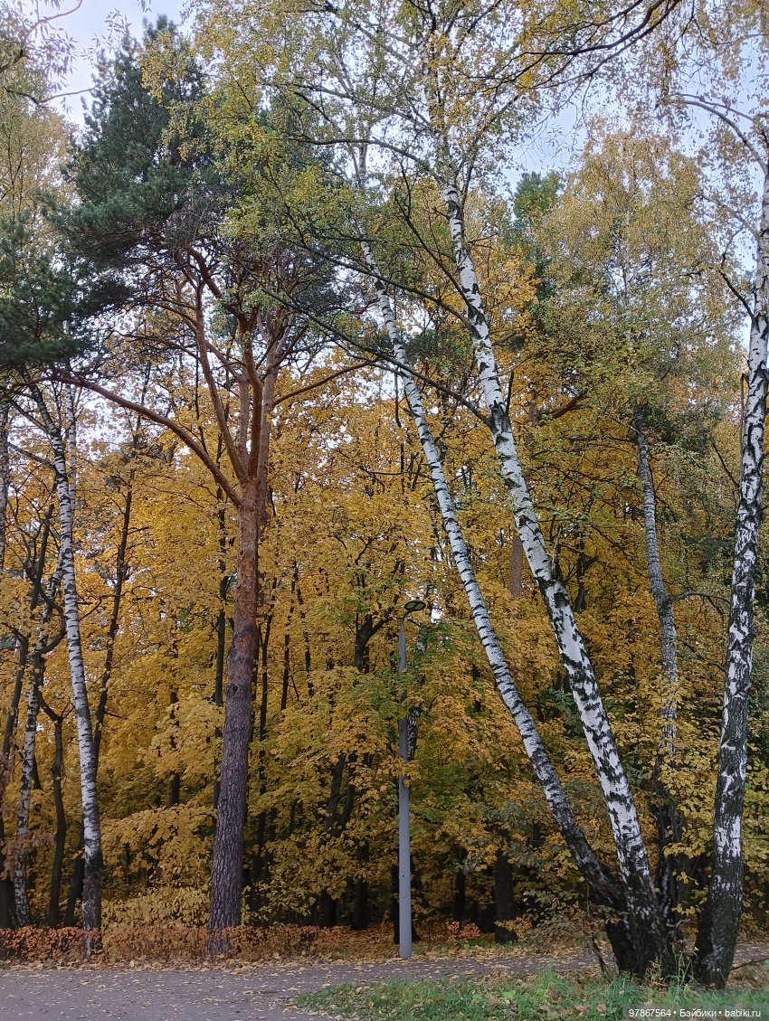 Туман...грибы растут — Куклы Zwergnase (Цвергназе/Цверги): фото