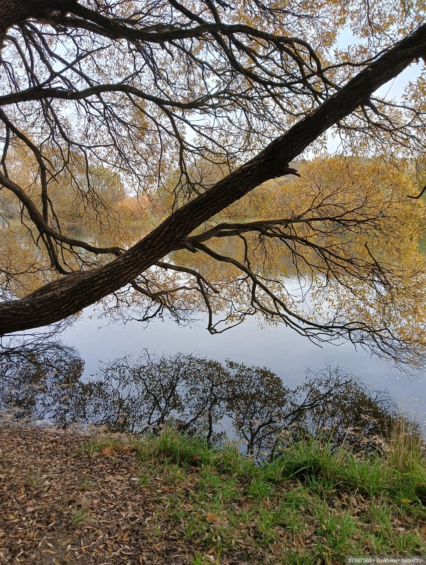 Туман...грибы растут — Куклы Zwergnase (Цвергназе/Цверги): фото