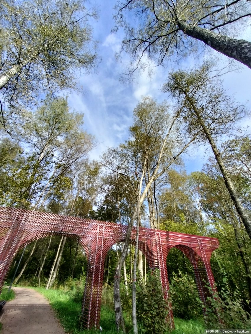 При чем тут Малевич? Прогулка 3 (фото 10)