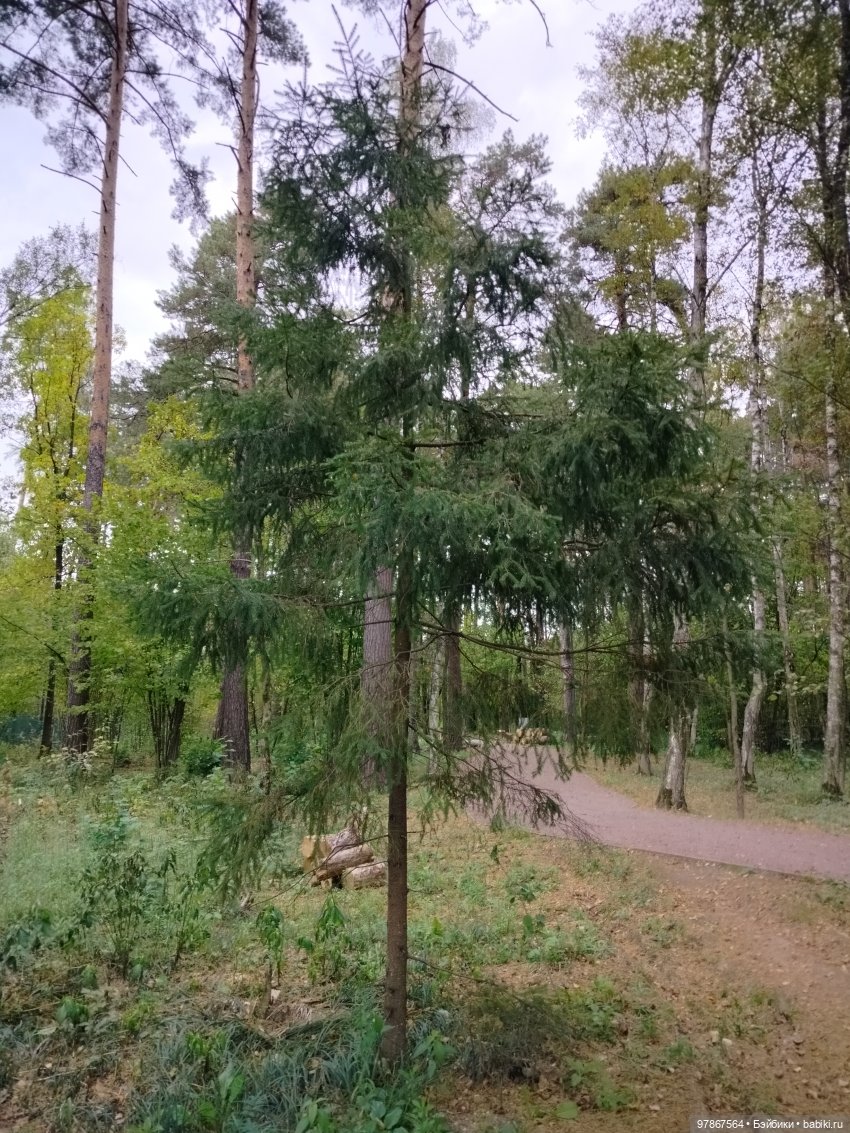 При чем тут Малевич? Прогулка 3