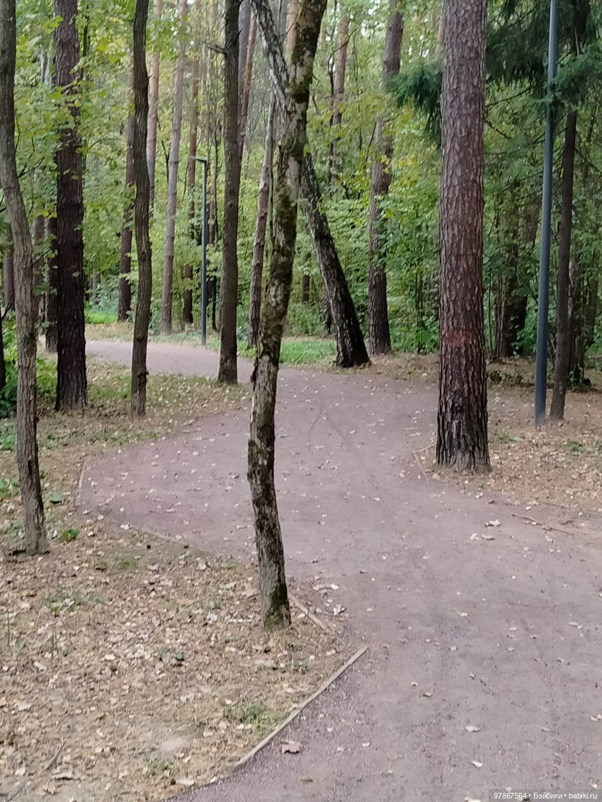 При чем тут Малевич? Прогулка 3