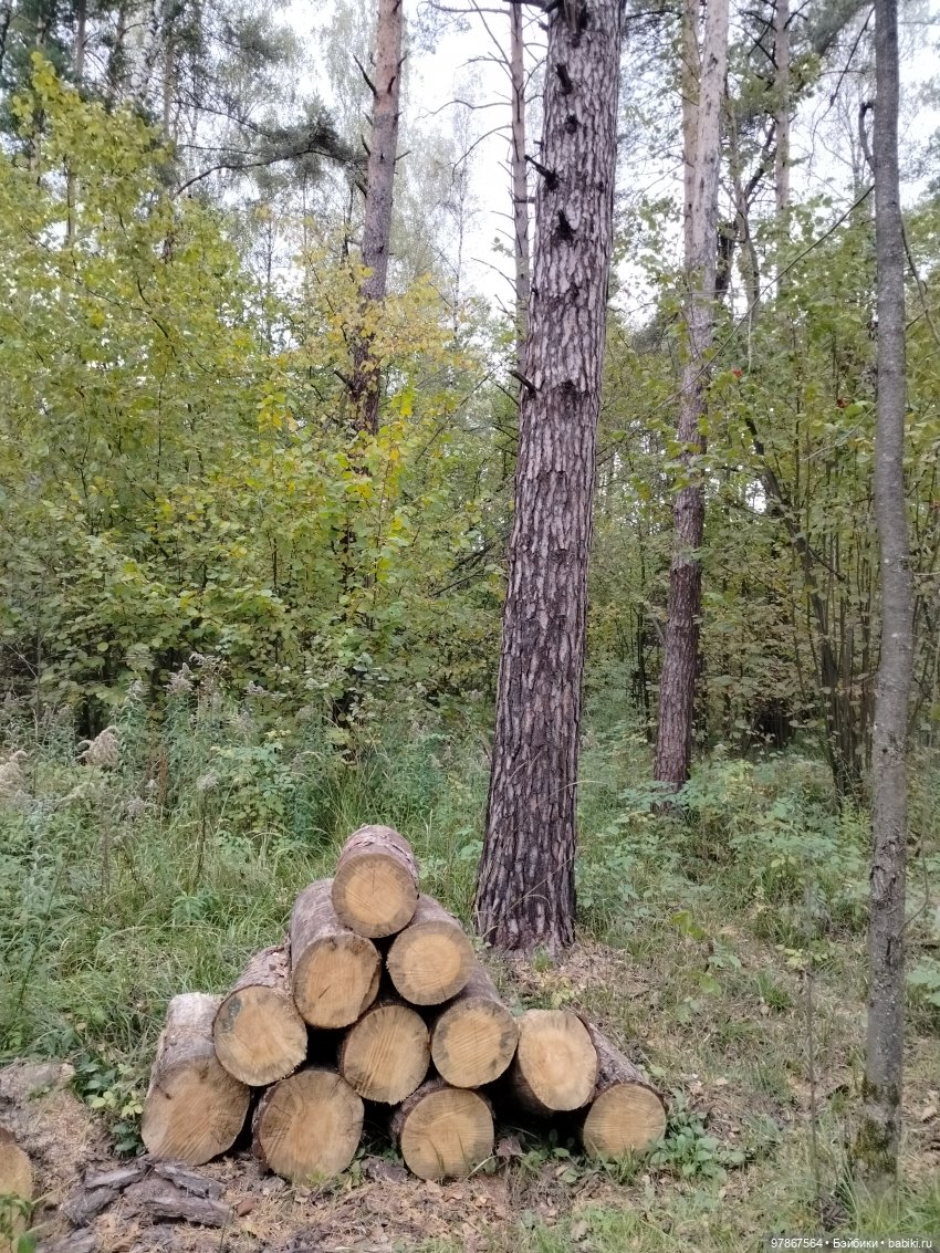 При чем тут Малевич? Прогулка 3