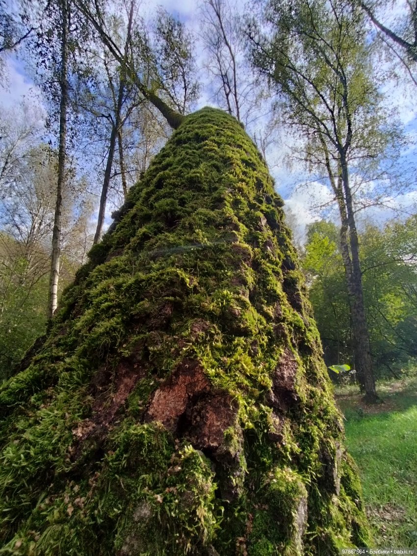 При чем тут Малевич? Прогулка 3