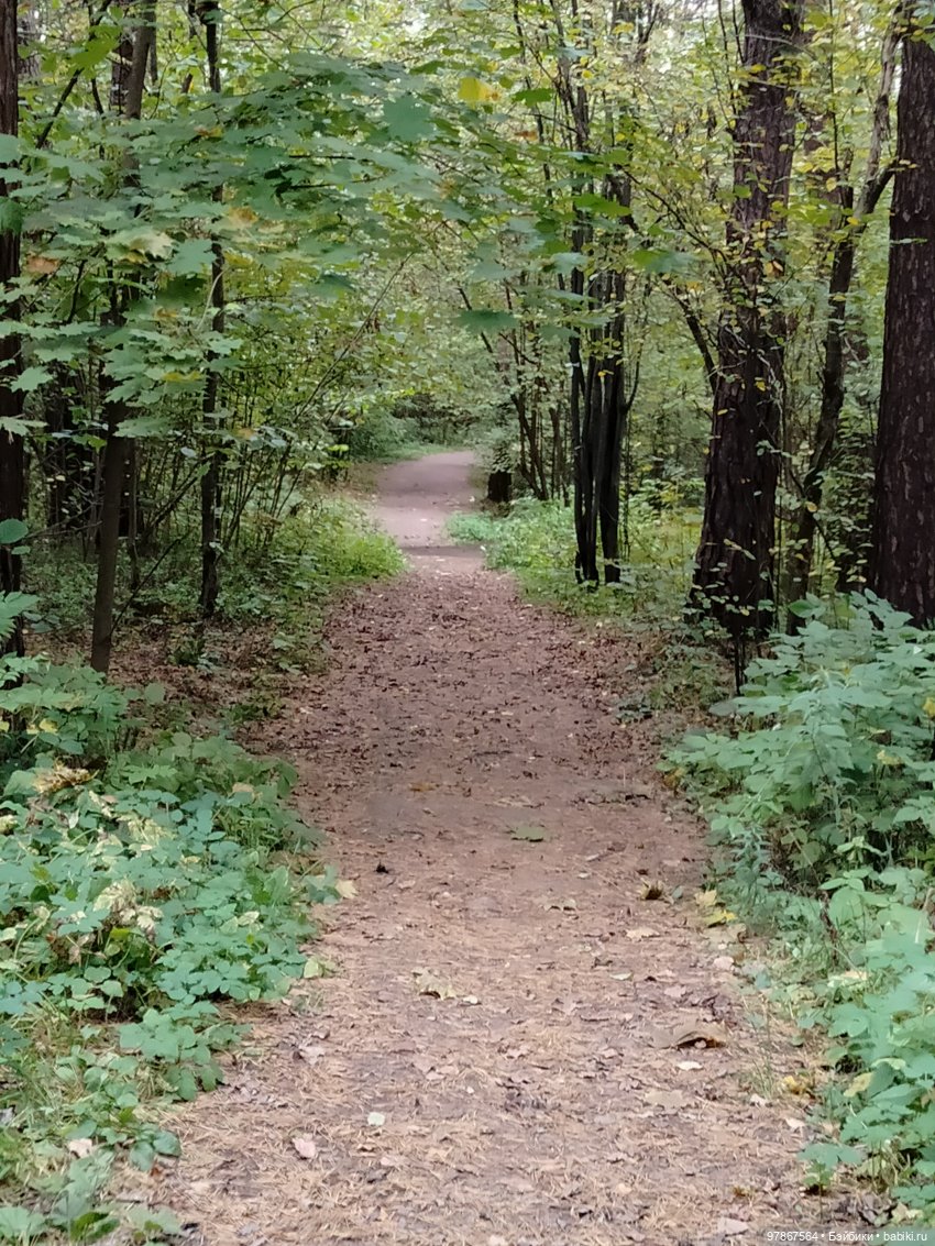 При чем тут Малевич? Прогулка 3