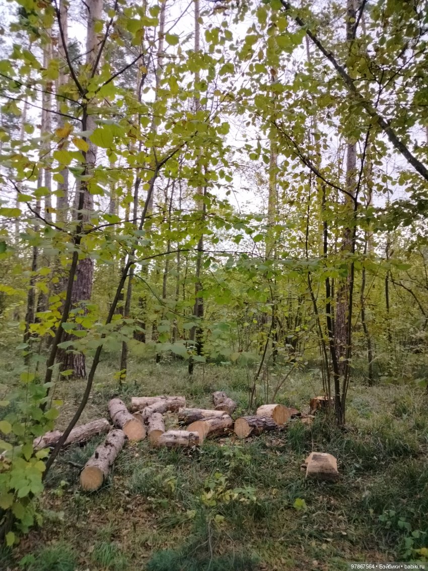 При чем тут Малевич? Прогулка 3