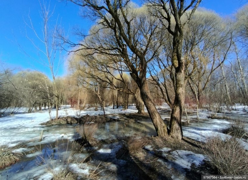 Ручьи, лужи и Цверги — Куклы Zwergnase (Цвергназе/Цверги): фото (фото 6)