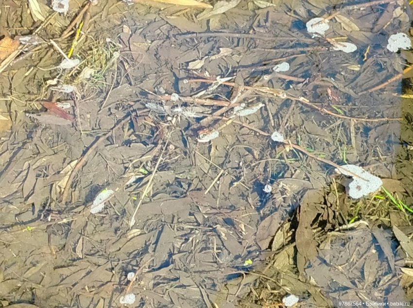 Ручьи, лужи и Цверги — Куклы Zwergnase (Цвергназе/Цверги): фото (фото 7)