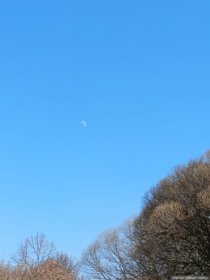 Ручьи, лужи и Цверги — Куклы Zwergnase (Цвергназе/Цверги): фото