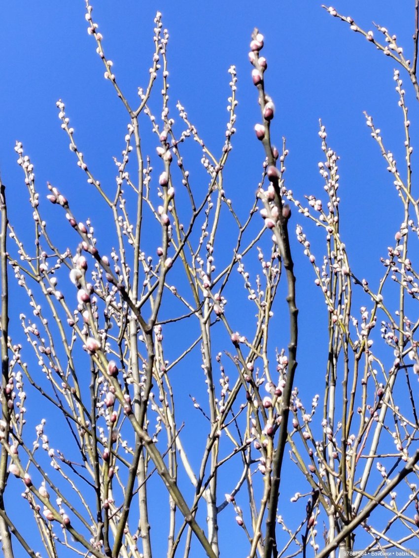 Ручьи, лужи и Цверги — Куклы Zwergnase (Цвергназе/Цверги): фото