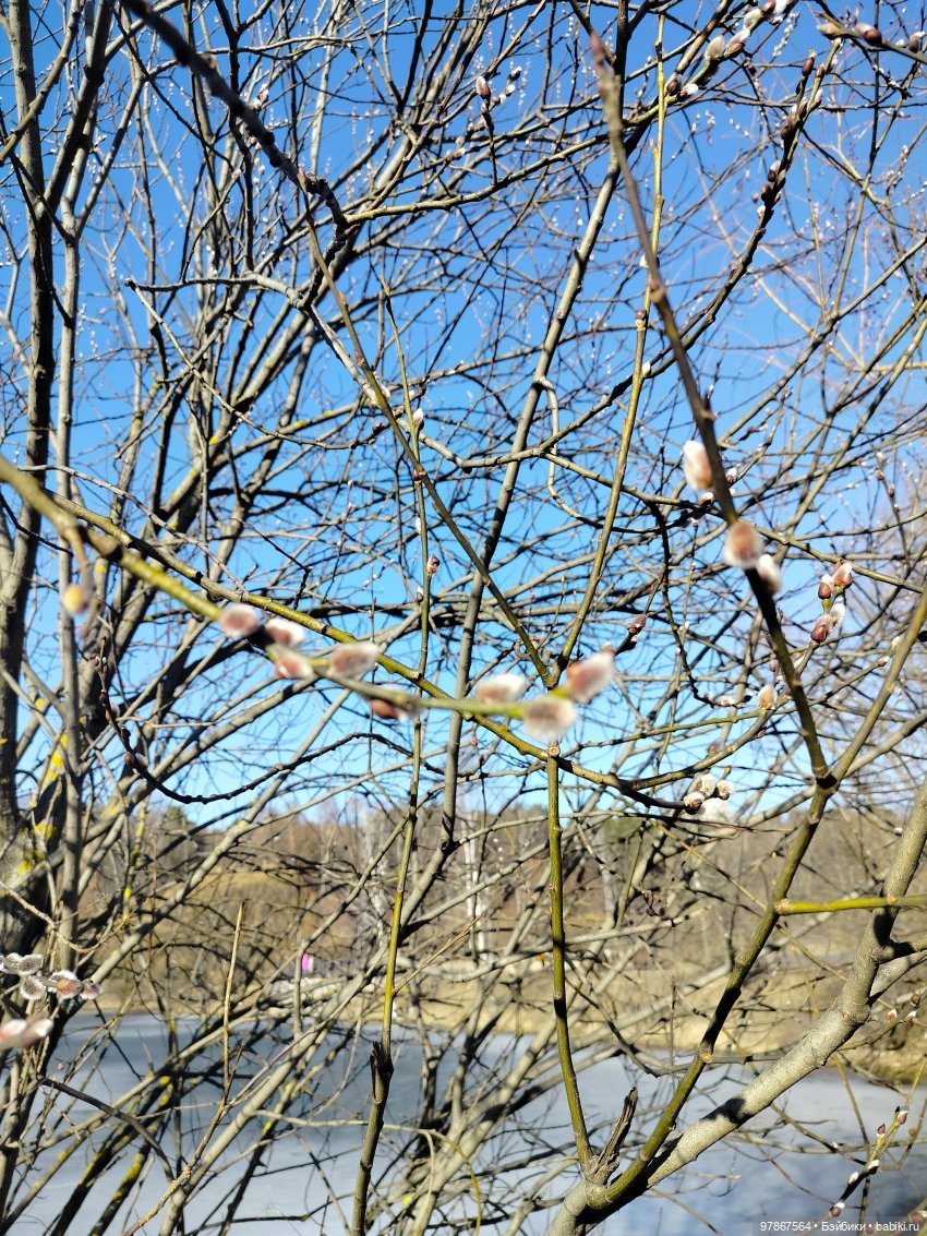 Ручьи, лужи и Цверги — Куклы Zwergnase (Цвергназе/Цверги): фото