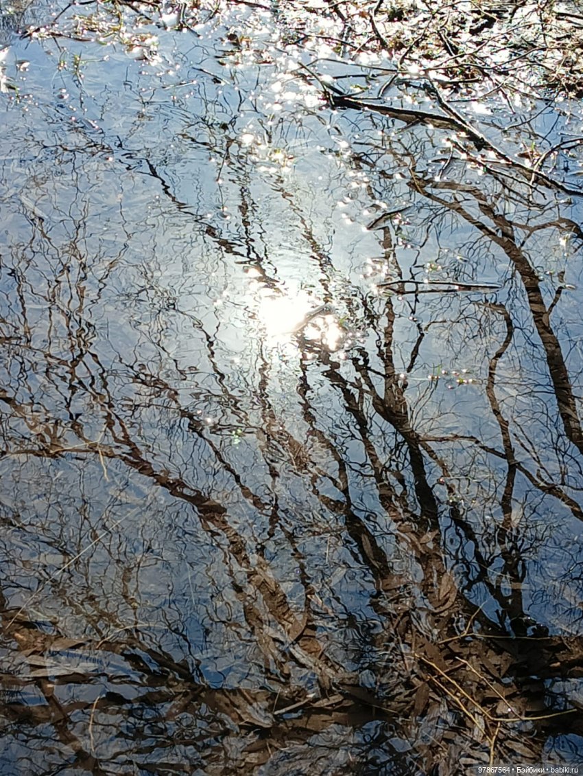 Ручьи, лужи и Цверги — Куклы Zwergnase (Цвергназе/Цверги): фото