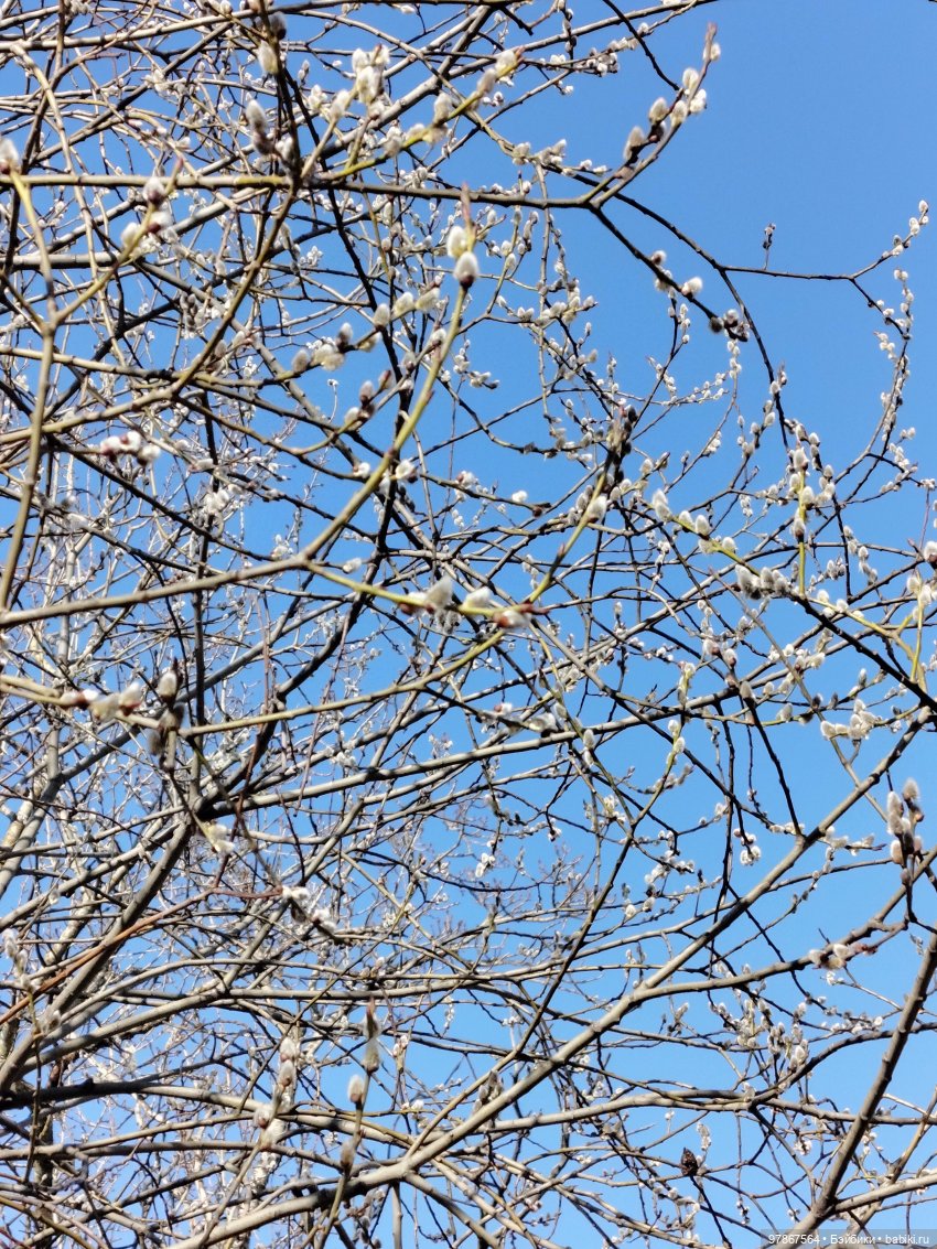 Ручьи, лужи и Цверги — Куклы Zwergnase (Цвергназе/Цверги): фото