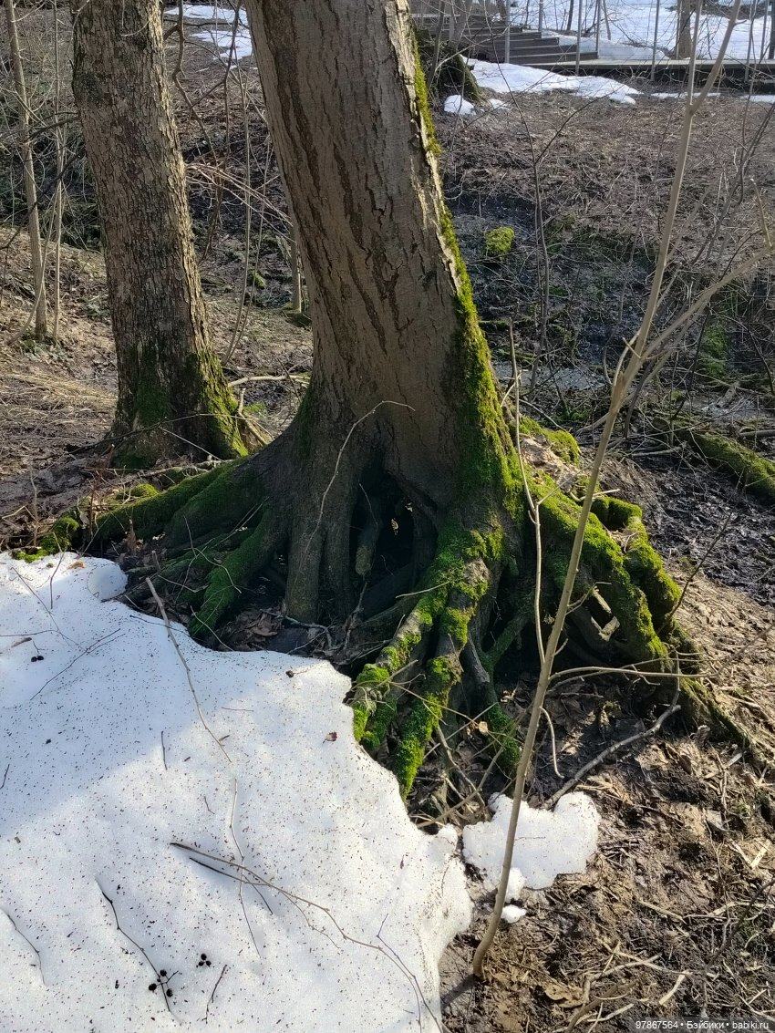 Ручьи, лужи и Цверги — Куклы Zwergnase (Цвергназе/Цверги): фото