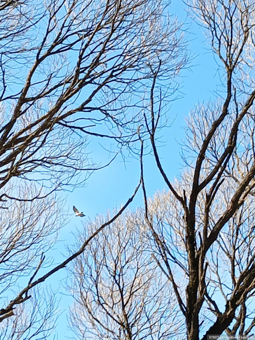 Ручьи, лужи и Цверги — Куклы Zwergnase (Цвергназе/Цверги): фото