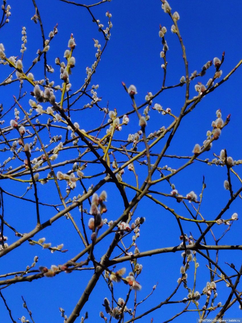 Ручьи, лужи и Цверги — Куклы Zwergnase (Цвергназе/Цверги): фото