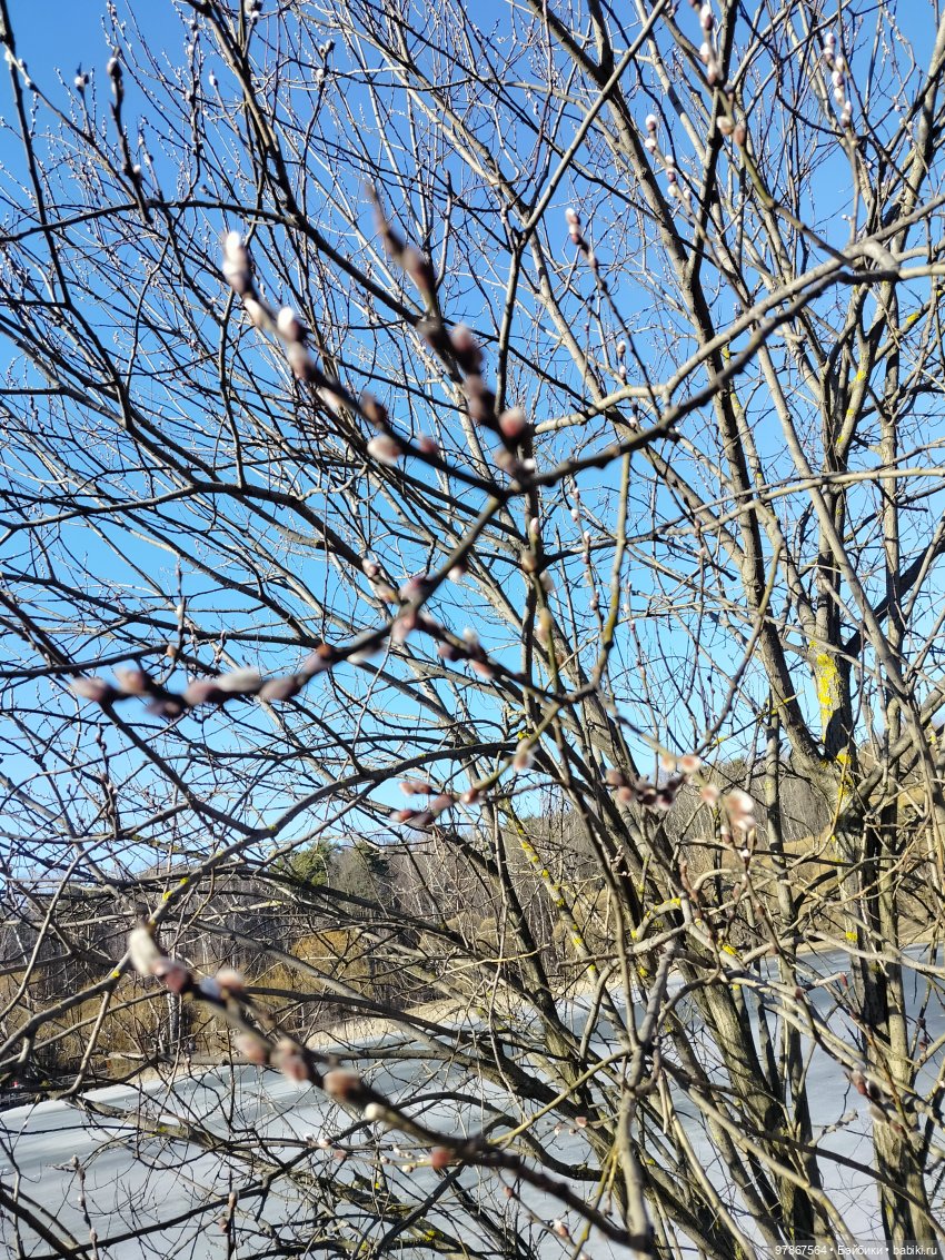 Ручьи, лужи и Цверги — Куклы Zwergnase (Цвергназе/Цверги): фото