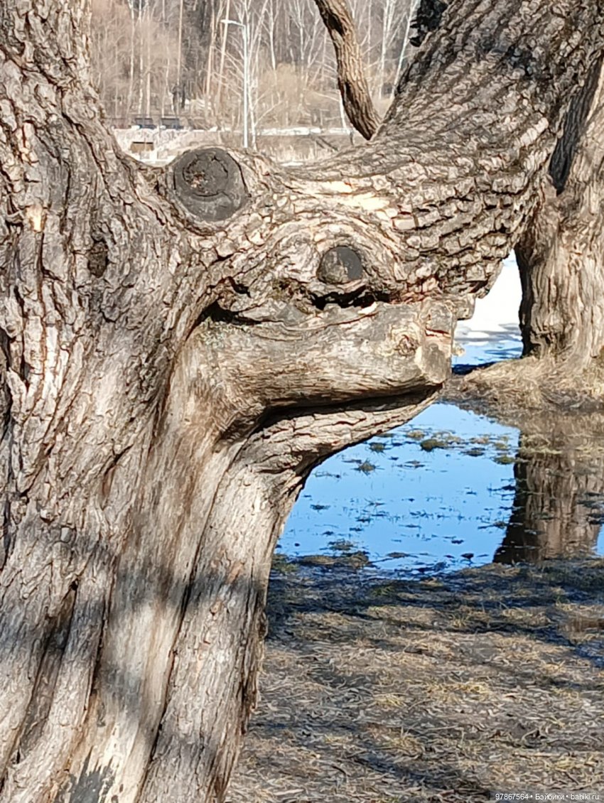 Ручьи, лужи и Цверги — Куклы Zwergnase (Цвергназе/Цверги): фото