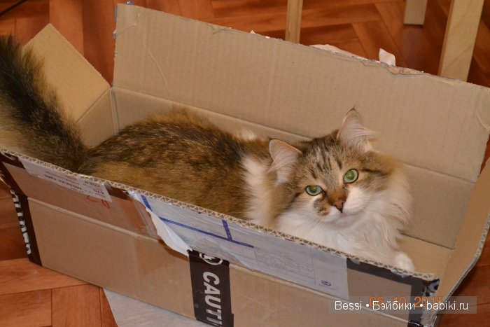 Разрешите представить - моя первая БЖД - Нарае (фото 2)